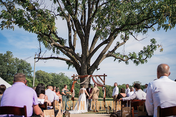 Alicia & Connor Wedding-652