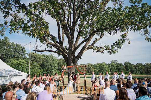 Alicia & Connor Wedding-661