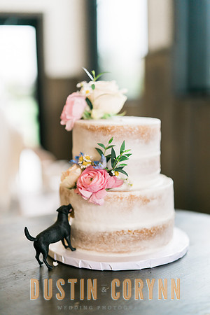 Anna & Sahil Wedding-294