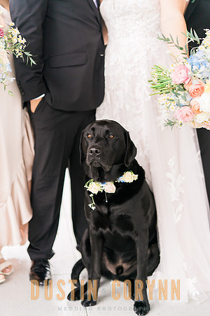 Anna & Sahil Wedding-301