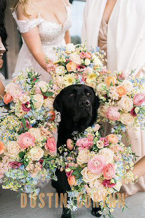 Anna & Sahil Wedding-314