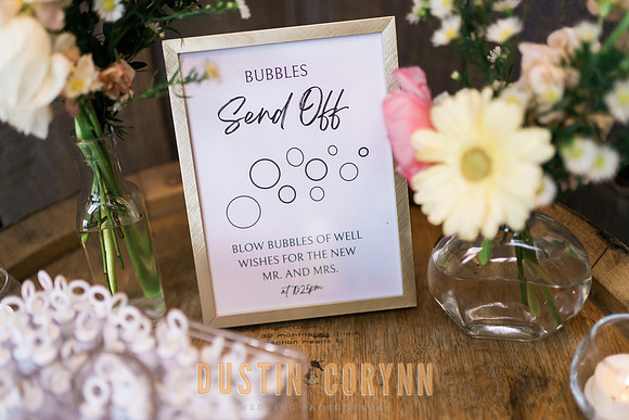 Anna & Sahil Wedding-575