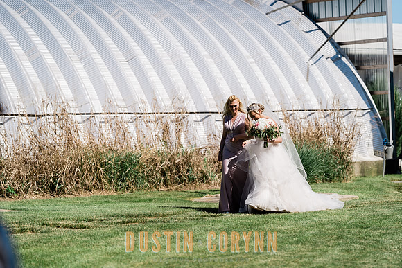 wedding-185