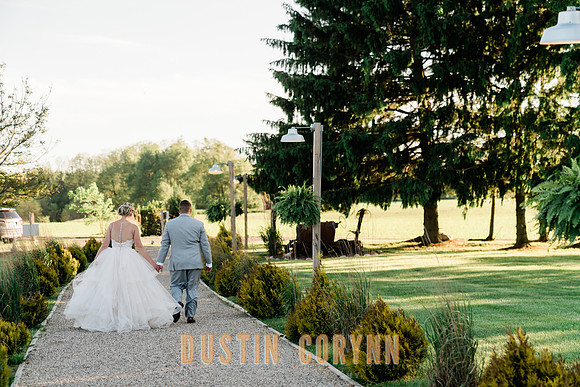 wedding-584