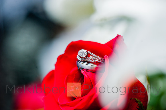 RECEPTION-529