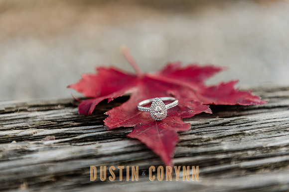Engagement-139