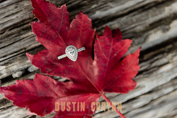 Engagement-140