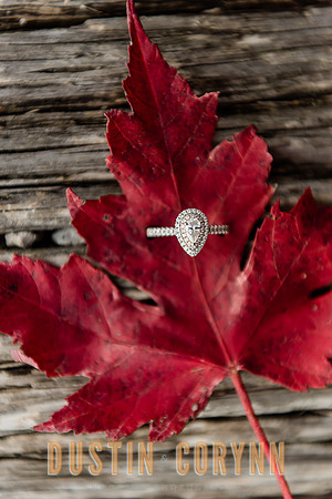 Engagement-141