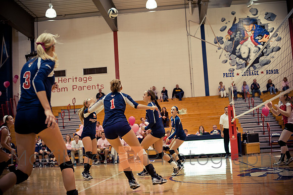 vball-19
