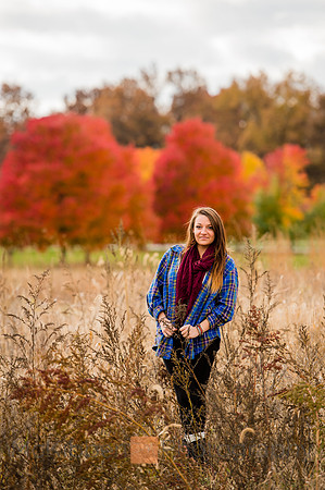 taylor_fall-5