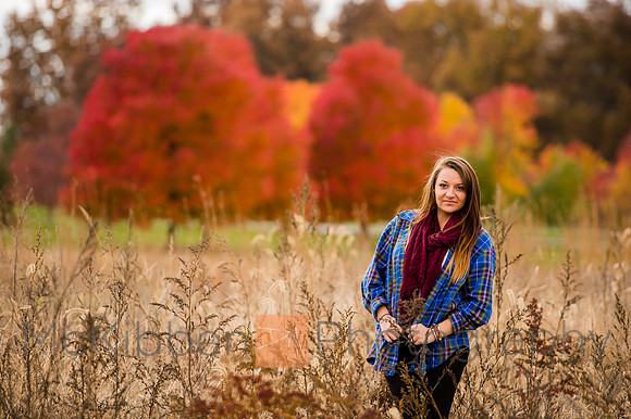 taylor_fall-4