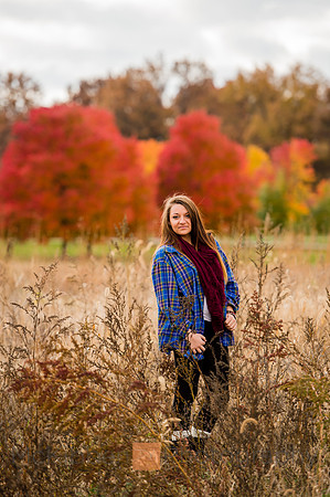 taylor_fall-6