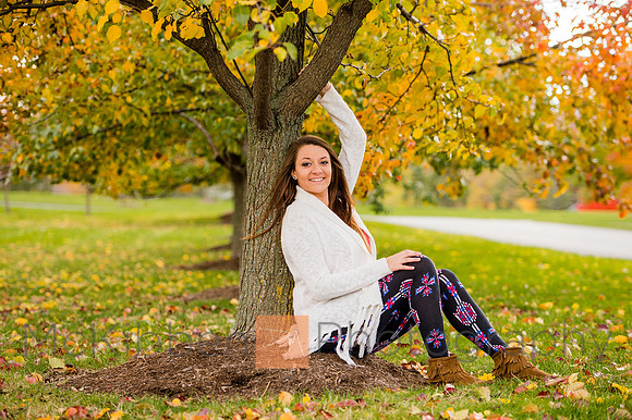 taylor_fall-20
