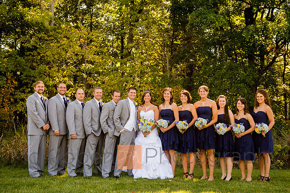 FORMALS-231